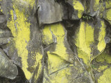 Gold Dust Lichens on Basalt Rocks, Chrysothrix Candelaris, North America Lámina fotográfica por Doug Sokell