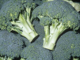 Broccoli (Brassica Oleracea Botrytis), Native to the Mediterranean Region Photographic Print by Ken Lucas