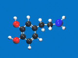 Molecular Model of Dopamine, a Neurotransmitter Photographie par Carol and Mike Werner