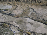 Dinosaur Tracks, Picketwire Canyon, Animas County, Co Photographic Print by Jim Wark