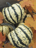 Winter Squash, Sweet Dumpling Variety Photographic Print by Wally Eberhart