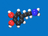 Molecular Model of Dopamine, a Neurotransmitter Lámina fotográfica por Carol and Mike Werner