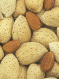 Almond Nut, Prunus Amygdalus Photographic Print by Wally Eberhart
