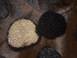 A Black Truffle (Tuber Melanosporum), Appalachian Mountains, North Carolina, USA Photographic Print by Rob & Ann Simpson