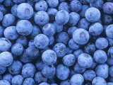 David Sieren - Blueberries, Vaccinium Corymbosum Fotografická reprodukce David Sieren - Blueberries, Vaccinium Corymbosum Fotografická reprodukce