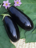 Eggplant, Dusky Hybrid Photographic Print by Wally Eberhart