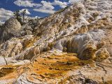 Travertine Terraces at Mammoth Hot Springs, Yellowstone National Park, Wyoming, USA Photographic Print by Adam Jones