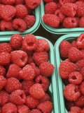 Raspberries (Rubus Idaeus) Photographic Print by Wally Eberhart