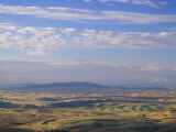 Rolling Hills of Palouse Farm Country, Eastern Washington, USA Photographic Print by Adam Jones