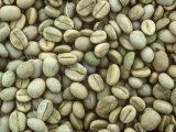 Dry Arabica Coffee Beans after Pulping and Drying, Kenya, Africa Photographic Print by Nigel Cattlin