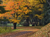 Walking Trail around Bass Lake in the Autumn, Blowing Rock, North Carolina, USA Photographic Print by Adam Jones