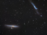 Ngc4631 and Ngc4656-57 Galaxies in Canes Venatici Photographic Print by Robert Gendler
