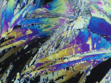 Vitamin C (Ascorbic Acid) Crystals. Polarized Photographic Print by Ralph Hutchings