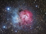 The Trifid Nebula in Sagittarius, M20 Photographic Print by Robert Gendler