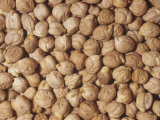 Garbanzo Beans or Chick Peas (Cicer Arietinum). Native to the Middle East Photographic Print by Ken Lucas