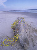 A Large Dead Shark Wrapped in Gill Net on a Beach Photographie par Charles McRae