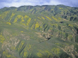 Temblor Range, California, USA Photographie par Jim Wark