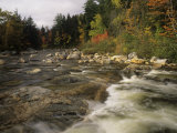Autumn Colors Along the Swift River, White Mountains National Forest, New Hampshire, USA Photographic Print by Adam Jones Autumn Colors Along the Swift River, White Mountains National Forest, New Hampshire, USA Photographic Print by Adam Jones