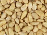 Pine Nuts from the Italian Stone Pine (Pinus Pinea) Photographic Print by Nigel Cattlin