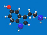 Molecular Model of Seratonin, a Neurotransmitter Photographic Print by Carol and Mike Werner