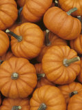 Pumpkin Harvest, Jack Be Little Variety Photographic Print by Wally Eberhart