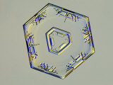Snowflake Photographic Print by Kenneth Libbrecht