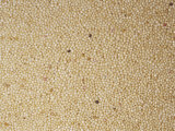 Amaranth Grain Seeds (Amaranthus). North and South America Photographic Print by Ken Lucas