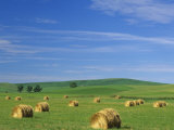 Hay Bales and Rolling Hills of Palouse Farm Country in Eastern Washington, USA Photographic Print by Adam Jones