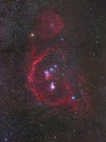 The Constellation of Orion or the Hunter and its Nebulosity Photographic Print by Robert Gendler