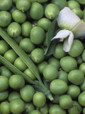 Peas, Frosty Lámina fotográfica por Wally Eberhart