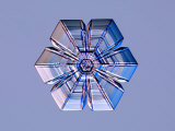 Snowflake Photographic Print by Kenneth Libbrecht