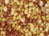 Shelled Spanish Peanuts (Arachis Hypogaea). Native to South America Lámina fotográfica por Ken Lucas Shelled Spanish Peanuts (Arachis Hypogaea). Native to South America Lámina fotográfica por Ken Lucas