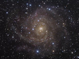 The Spiral Galaxy Ic342 in Camelopardalis Photographic Print by Robert Gendler