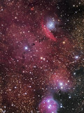 Ngc 6559 Nebula in Sagittarius Photographic Print by Robert Gendler