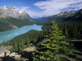 Peyto Lake, Banff National Park, Alberta, Canada Photographic Print by Adam Jones