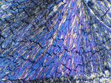 Cholesterol Crystals Viewed in Polarized Light Photographic Print by Ralph Hutchings