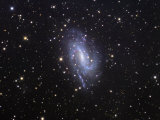 Ngc 925 Spiral Galaxy in Triangulum Photographic Print by Robert Gendler