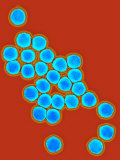 Adenovirus, a Cause of the Common Cold Photographic Print by Hans Gelderblom