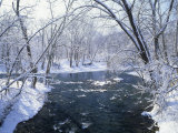 Snowy Forest Scene Along the Blue River, Indiana, USA Photographic Print by Adam Jones