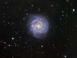 Ngc 3184, Spiral Galaxy in Ursa Major Photographic Print by Robert Gendler