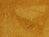 Weathered Paint with Old Texture, Antique, Peeling Surface Photographic Print by Albert Copley