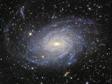 Ngc 6744 Spiral Galaxy in Pavo Photographic Print by Robert Gendler