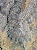 Erosion 25 Miles Southeast of Vernal, Ut Fotografie-Druck von Jim Wark