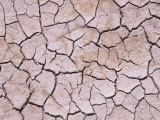Pattern of Cracks in Sun-Dried Mud, Vermillion Cliffs Wilderness Area, Utah, USA Photographic Print by Adam Jones