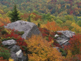 Rocky Outcrop and Autumn Colors, Blue Ridge Parkway, North Carolina, USA Photographic Print by Adam Jones