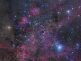 The Vela Supernova Remnant Photographic Print by Robert Gendler