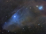 Ic 4592 and Ic 4601 Reflection Complex in Scorpius Photographic Print by Robert Gendler