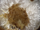 Brazil Agate Quartz Photographic Print by Albert Copley