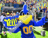 YoUDee Mascot of the University of Delaware Blue Hens, 2008 Fotografía