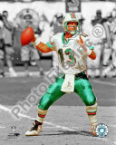 Dan Marino Photo